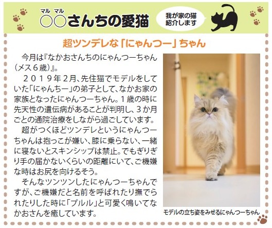 ペットを紙面で紹介しませんか？